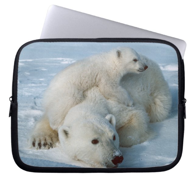 Capa Para Notebook Amantes da Vida Selvagem de Urso Polar e Cubo (Frente)