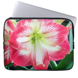 Capa Para Notebook Amaryllis cor-de-rosa branca, branquelo de flores