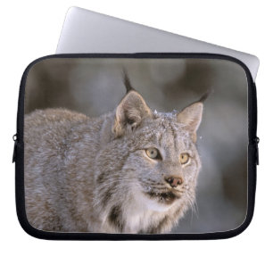 Capa Para Notebook América do Norte, EUA, Alasca, Haines. Lince (Feli