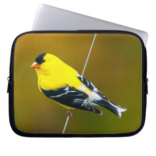Capa Para Notebook American Goldfinch - Fotografia original