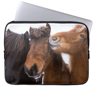 Capa Para Notebook Amigos do cavalo islandês, Islândia