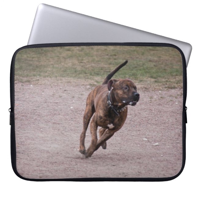 Capa Para Notebook Amstaff em execução (Frente)