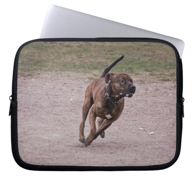 Capa Para Notebook Amstaff em execução (Frente)