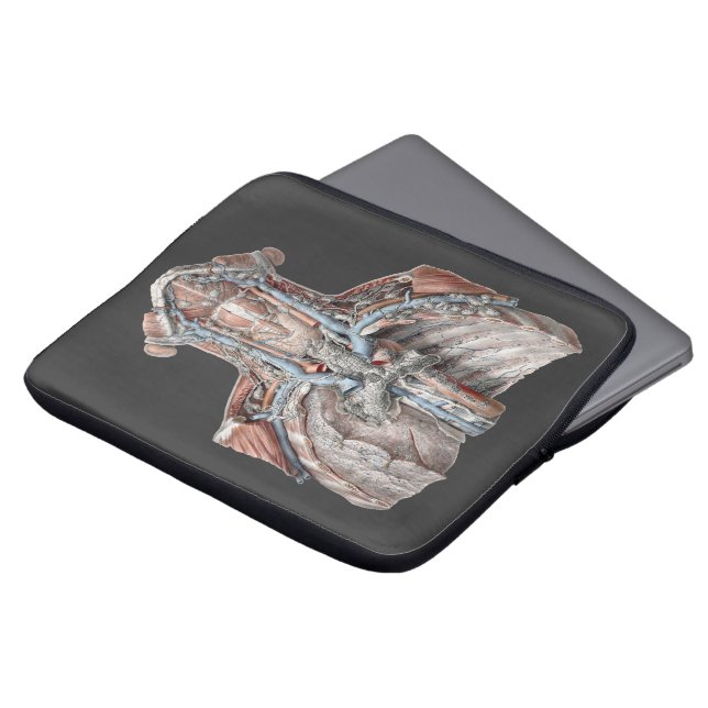 Capa Para Notebook Anatomia Humana Vintage - Garganta, Pescoço, Tórax (Frente Topo)
