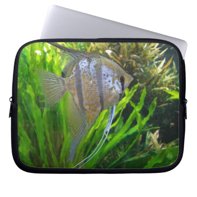 Capa Para Notebook Angel Fish (Frente)
