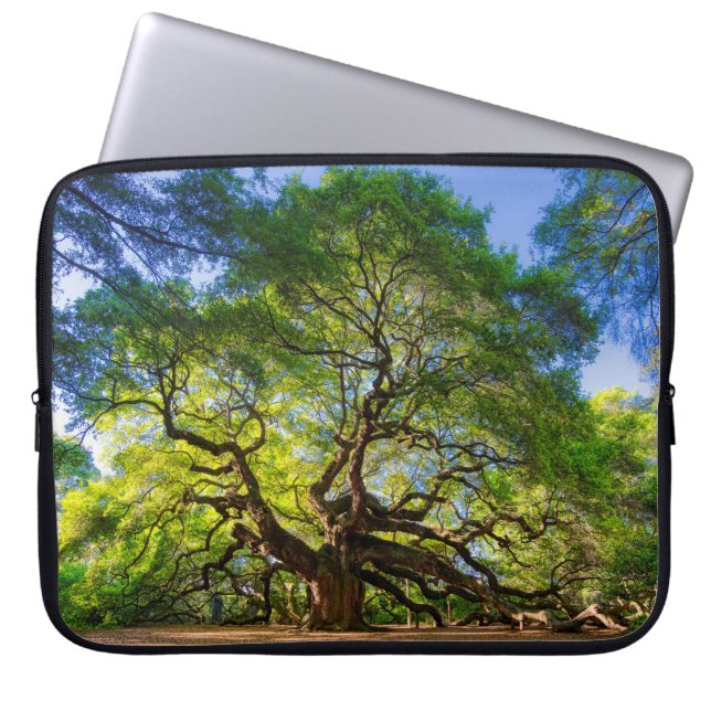 Capa Para Notebook Angel Oak Tree (Frente)