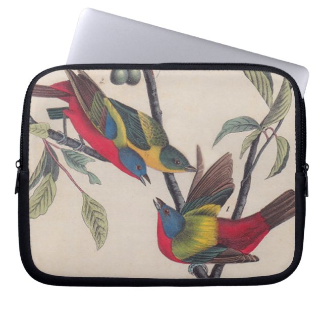 Capa Para Notebook Animais Selvagens de Aves Pintadas com Audubon (Frente)