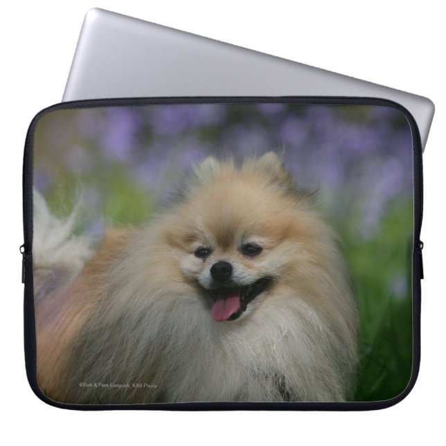 Capa Para Notebook Ânsia de Pomeranian (Frente)