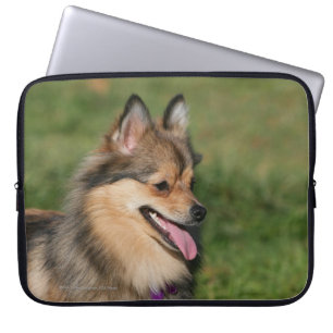 Capa Para Notebook Ânsia do Headshot de Pomeranian
