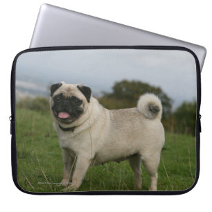 Capa Para Notebook Ânsia do Pug