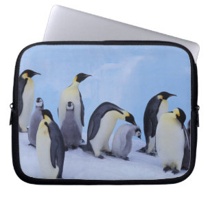 Capa Para Notebook Antártica, Pinguins Imporadores
