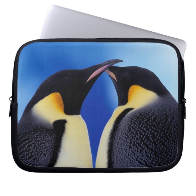 Capa Para Notebook Antártida, Pinguins Imperadores (Frente)