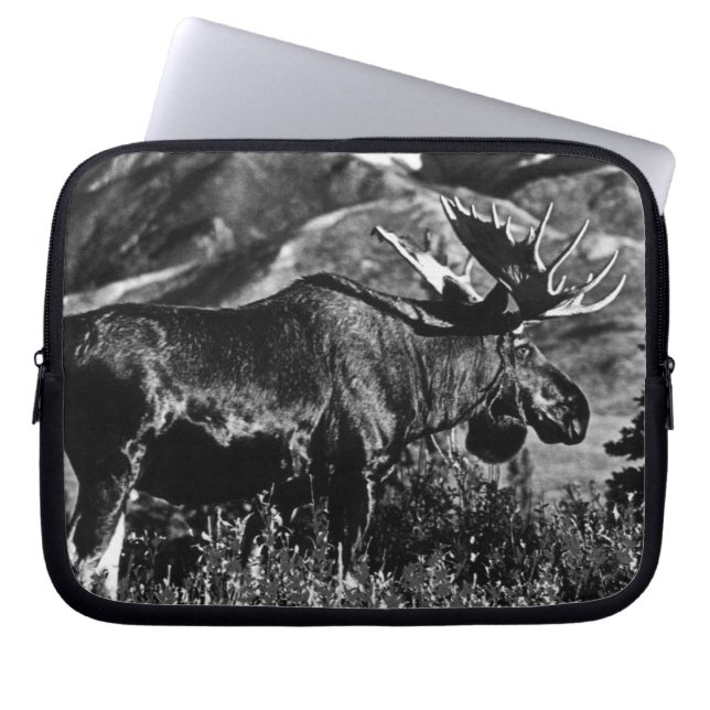 Capa Para Notebook Antigo estojo Case-Mate para Samsung de alce macho (Frente)