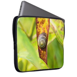 Capa Para Notebook apego calmo