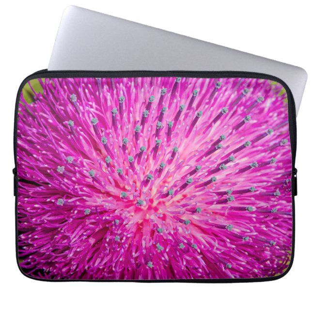 Capa Para Notebook Aperto do caroço do leite (Frente)