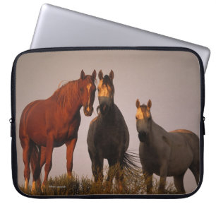 Capa Para Notebook Árabes no por do sol