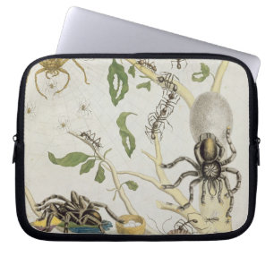 Capa Para Notebook Aranhas: Mygole, chapeia 18 de 'sobre de