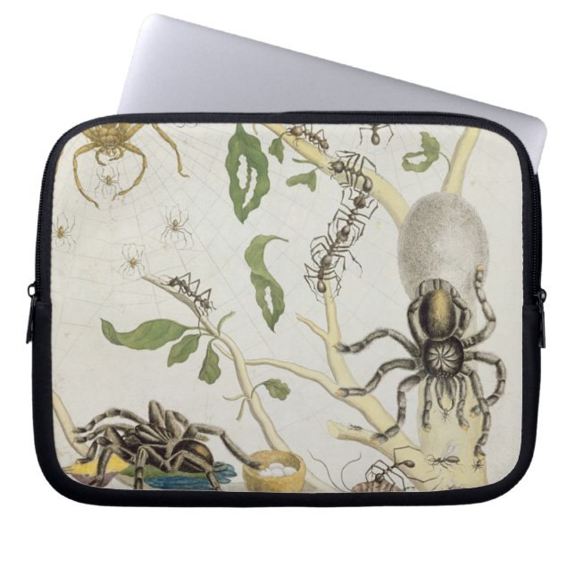 Capa Para Notebook Aranhas: Mygole, chapeia 18 de 'sobre de (Frente)