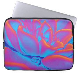 Capa Para Notebook Arco-íris - Planta suculenta