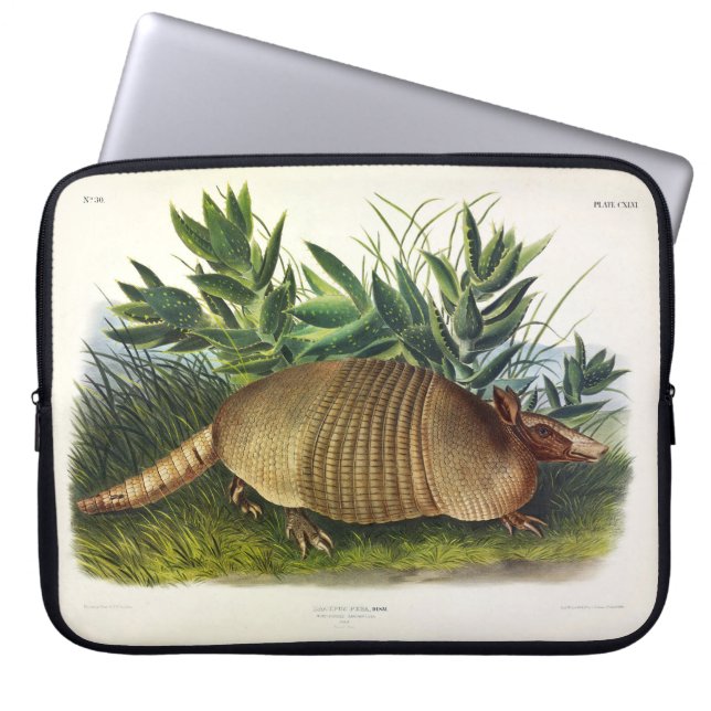 Capa Para Notebook Armadillo de nariz longo de nove pela Audubon (Frente)