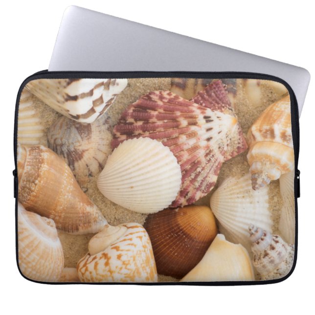 Capa Para Notebook Arranjo do Seashell (Frente)