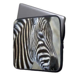 Capa Para Notebook Arte dos Amantes de Zebras