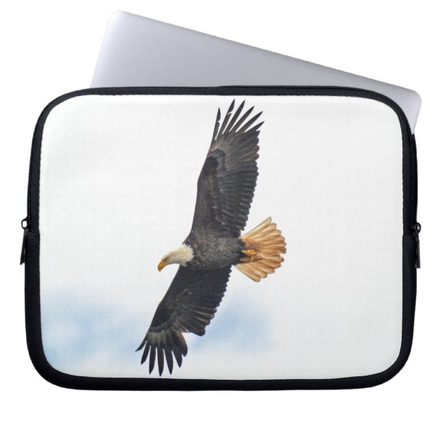 Capa Para Notebook Arte Fotográfica Bald Eagle Wildife (Frente)