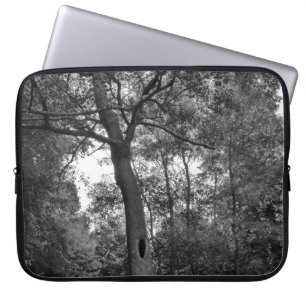 Capa Para Notebook Árvore com um Buraco Misterioso