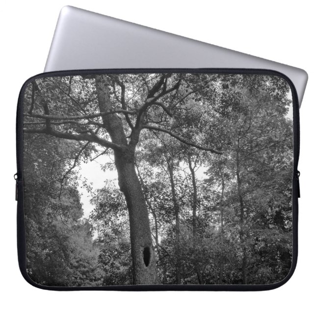 Capa Para Notebook Árvore com um Buraco Misterioso (Frente)