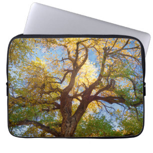 Capa Para Notebook Árvore Cottonwood Parque Nacional Capitol Reef,