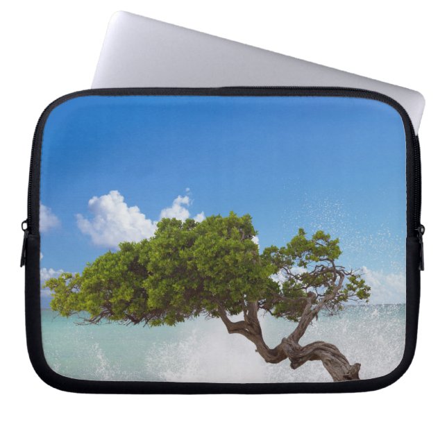 Capa Para Notebook Árvore Divi Divi, Praia Eagle, Aruba, Caribe (Frente)