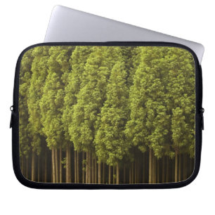 Capa Para Notebook Árvores de cedro de Koya Sugi