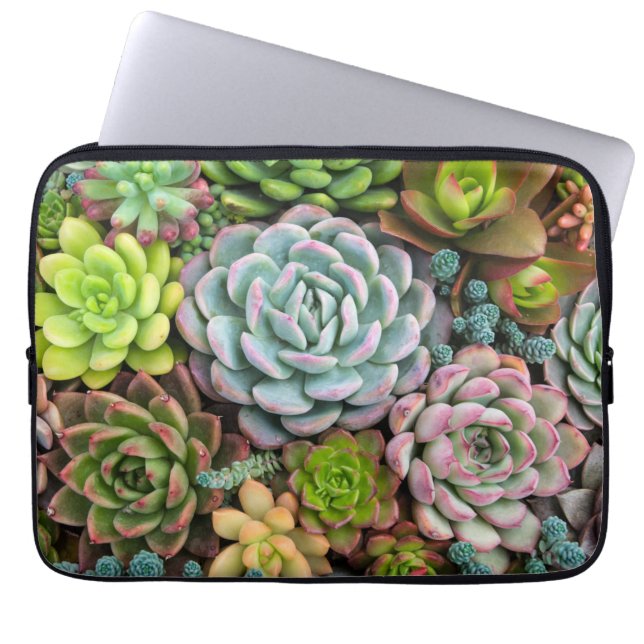 Capa Para Notebook As bolsas de laptop dos Succulents do cacto (Frente)