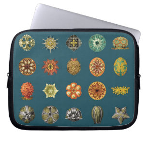Capa Para Notebook As jóias submarinas de Ernst Haeckel