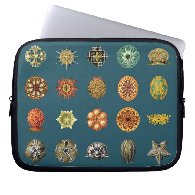 Capa Para Notebook As jóias submarinas de Ernst Haeckel (Frente)