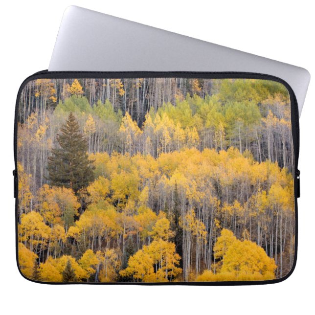Capa Para Notebook Aspen Árvores | Floresta Nacional do Rio Branco (Frente)