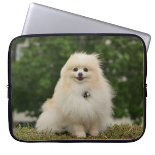 Capa Para Notebook Assento de Pomeraning