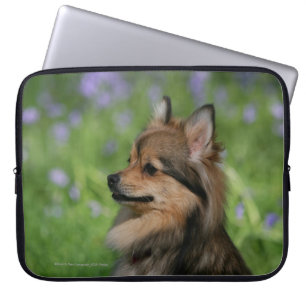Capa Para Notebook Assento do Headshot de Pomeranian