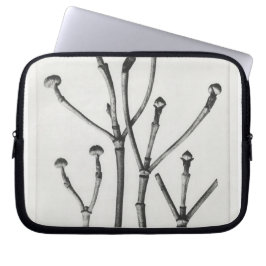 Capa Para Notebook Au Naturel Impressão botânico