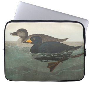 Capa Para Notebook Audubon American Scoter Duck