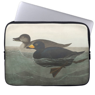 Capa Para Notebook Audubon American Scoter Duck Bird Painting