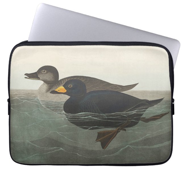 Capa Para Notebook Audubon American Scoter Duck Bird Painting (Frente)