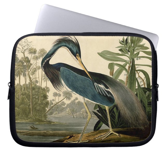 Capa Para Notebook Audubon Louisiana Heron (Frente)