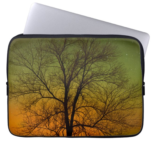 Capa Para Notebook Aurora Boreal & Árvore de Algodão (Frente)