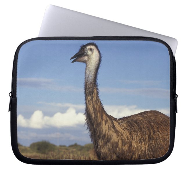Capa Para Notebook Austrália, Austrália Ocidental. Emu (Dromaius (Frente)