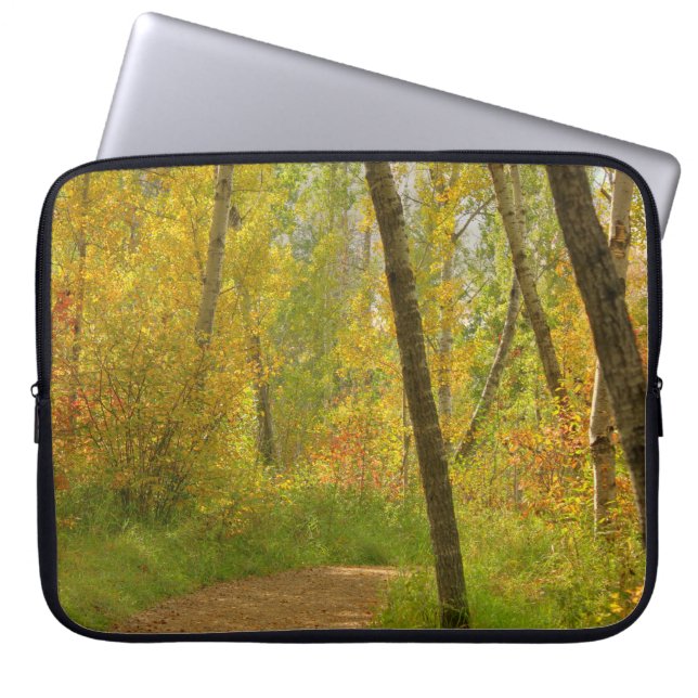 Capa Para Notebook Autumn Woodlands (Frente)