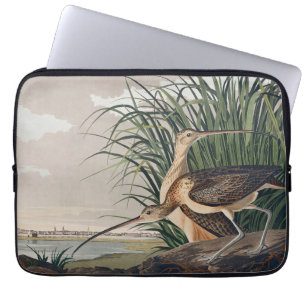 Capa Para Notebook Ave-do-relvado-de-bico-longo-Audubon