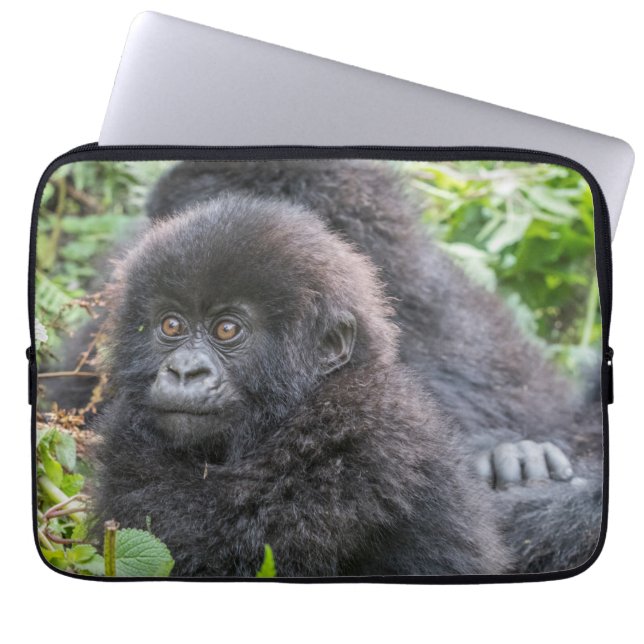 Capa Para Notebook Baby Mountain Gorilla (Frente)