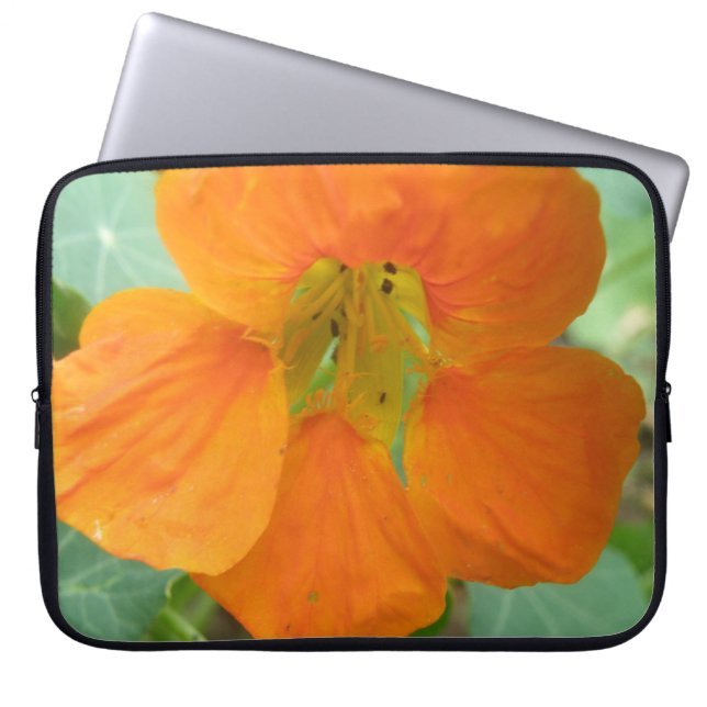 Capa Para Notebook Bag do Laptop da Flor Laranja Nasturtium bonito (Frente)
