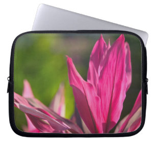 Capa Para Notebook BAHAMAS, Ilha de Nova Providência, Nassau: Paraíso